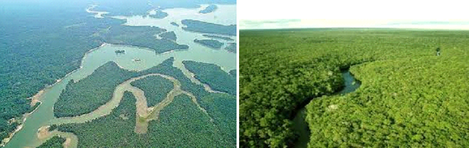 Floresta Amazônica densa e verde cortada por um grande rio, com árvores altas até o horizonte.