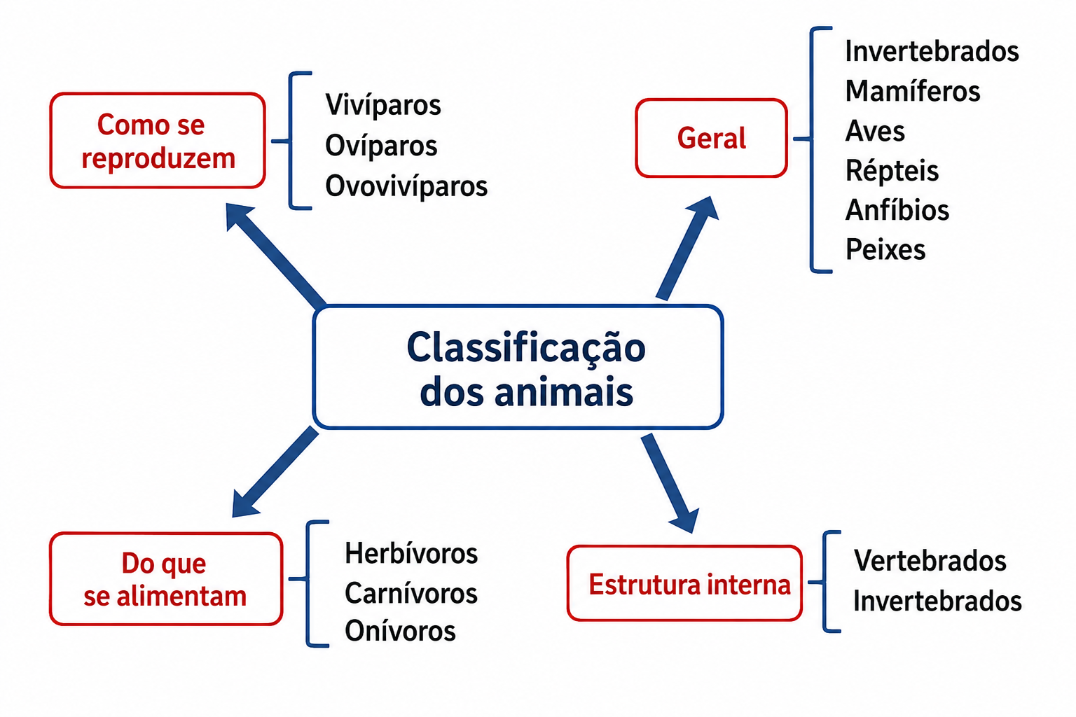 As quatro formas de classificar os animais: pelo que comem, pela reprodução, pela estrutura interna e a classificação geral.