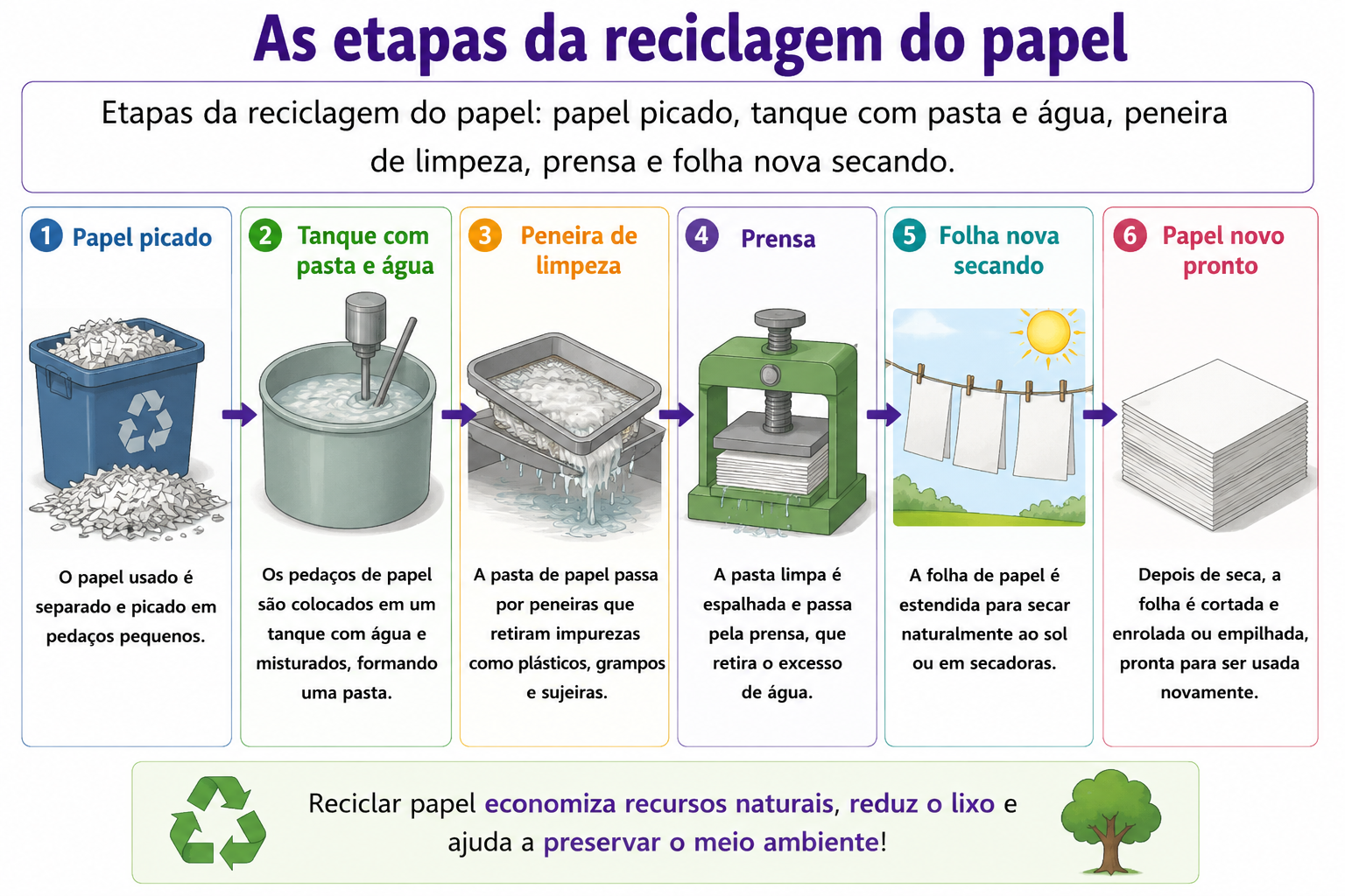 Etapas da reciclagem do papel: papel picado, tanque com pasta e água, peneira de limpeza, prensa e folha nova secando.