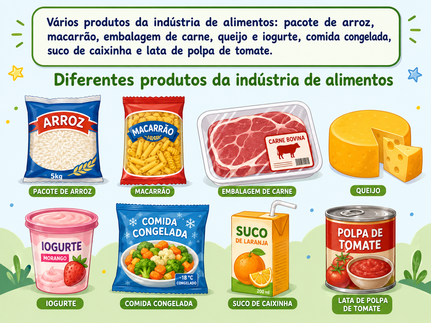 Vários produtos da indústria de alimentos: pacote de arroz, macarrão, embalagem de carne, queijo e iogurte, comida congelada, suco de caixinha e lata de polpa de tomate.