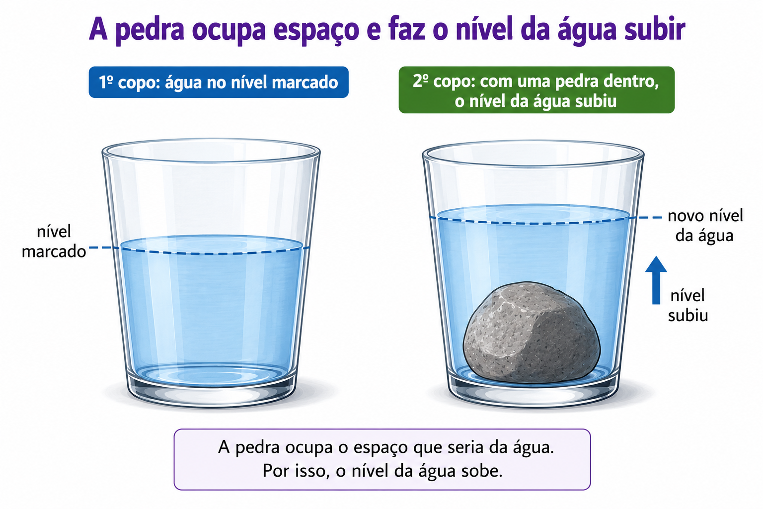 Dois copos com água: no primeiro a água está no nível marcado; no segundo, com uma pedra dentro, o nível da água subiu.